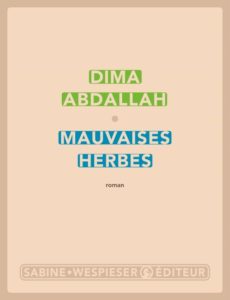 librairie-lhirondaine-Firminy-515
