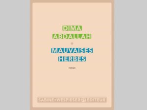 librairie-lhirondaine-Firminy-516