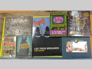 librairie-lhirondaine-Firminy-569