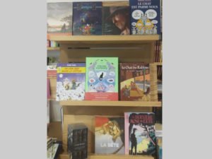 librairie-lhirondaine-Firminy-550