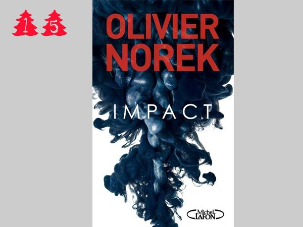 15 – Olivier Norek – Impact