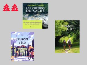librairie-lhirondaine-Firminy-626