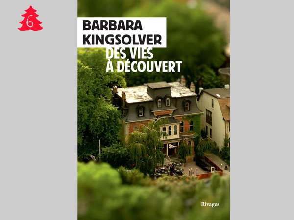 6 – Barbara Kingsolver – Des vies à découvert