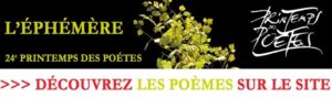 librairie-hirondaine-Firminy-PdesP2022-Bandeau Lisez