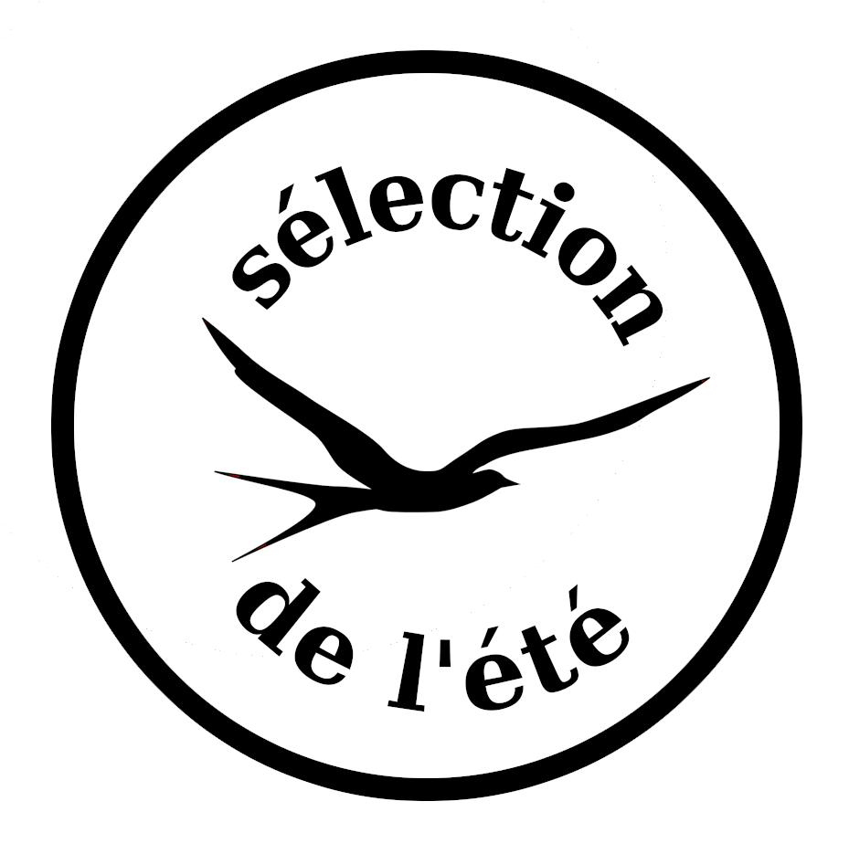 selection de l'été librairie l'hirondaine logo