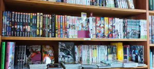 librairie l'hirondaine rayon manga