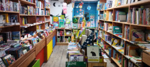librairie l'hirondaine rayon jeunesse