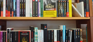 librairie l'hirondaine fonds polar